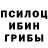 Псилоцибиновые грибы мухоморы Haroldo Junior