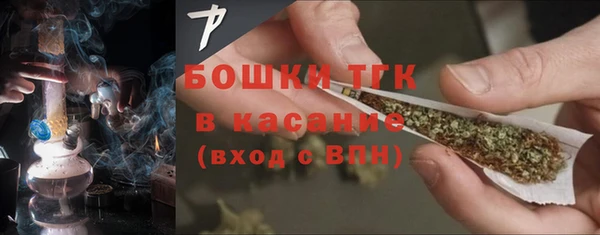 амф Аркадак